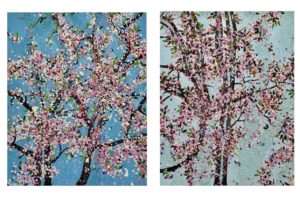 Sakura, Damien Hirst, cerisiers en fleurs
