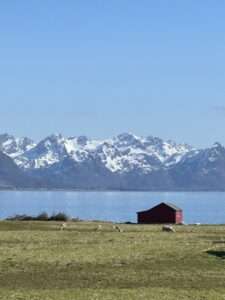 Au nord des Lofoten