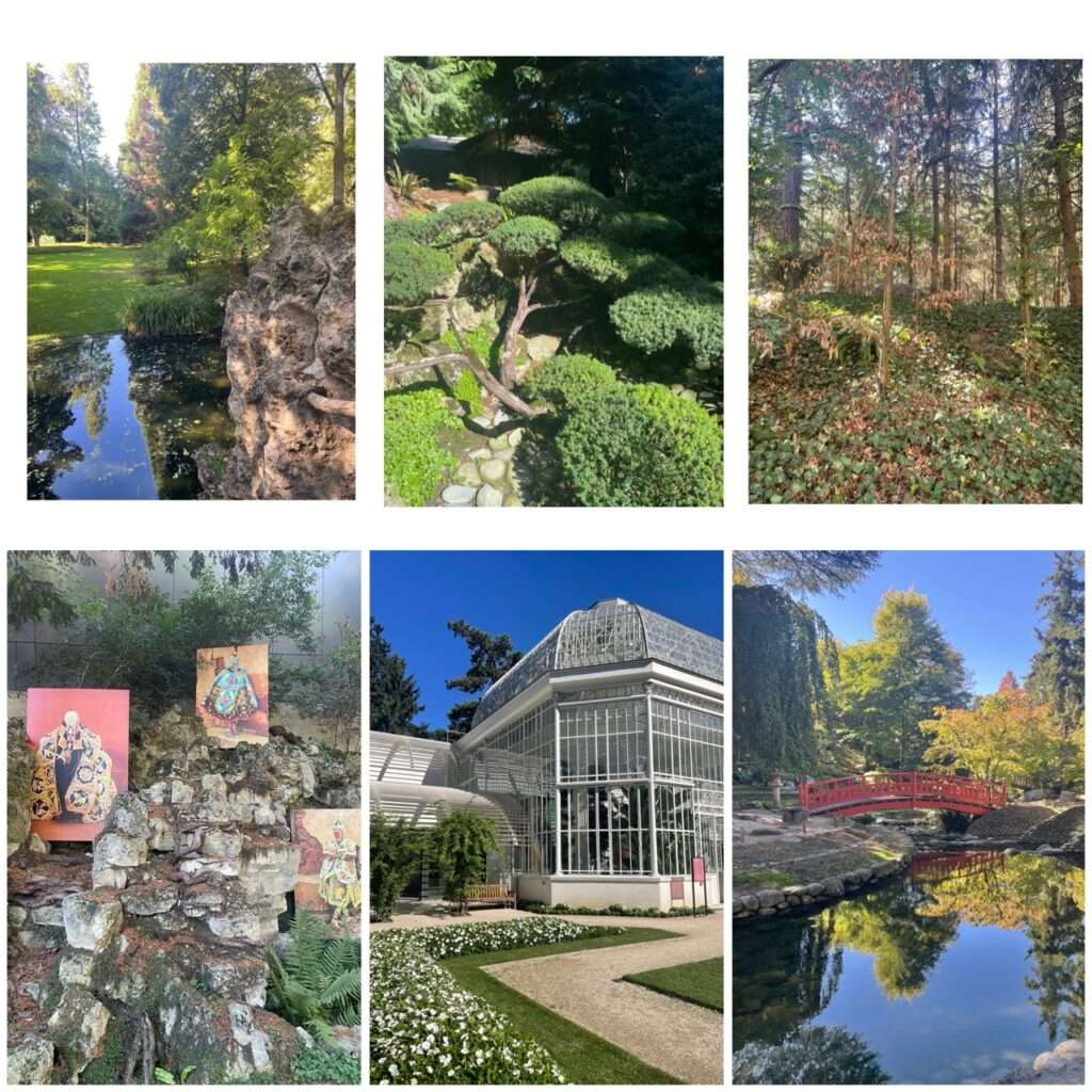 renouveau au jardin 